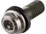 Shimano Titan-Befestigungsschraube für XTR Bremssättel, One_size