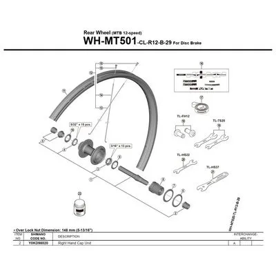 Shimano Wh-mt501 Right Sicherungsmutter, Silver, One Size Shimano Wh-mt501 Right Sicherungsmutter, Silver, One Size