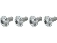 SILCA Flaschenhalterschrauben Torx SILCA Flaschenhalterschrauben Torx