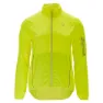 Neon / neon