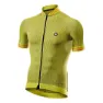 Yellow / black