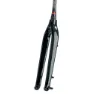 Skuad Full Carbon 15x100 Mm Mtb-gabel, Black / black, 29", Rigid