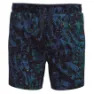 SmartWool Active Lined 5´´ Kurze Hose