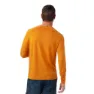 SmartWool Active Ultralite Langarm-t-shirt