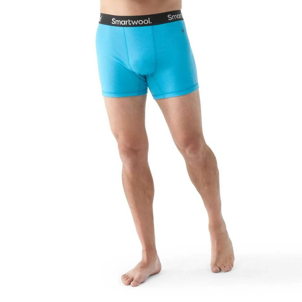 SmartWool Brief Boxershorts SmartWool Brief Boxershorts