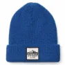 SmartWool Logo Mütze, Blueberry hill