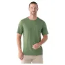 Fern green 2