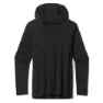 SmartWool Merino Sport 120 Hoodie Langarm-t-shirt