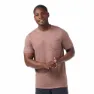 SmartWool Stag Stare Merino Hemp Blend Graphic Kurzarm-t-shirt