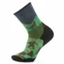 SmartWool Trail Run Targeted Cushion Neature Print Crew Socken male