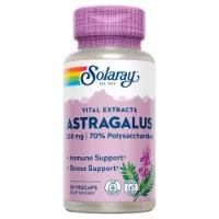 Solaray Astragaluswurzelextrakt 200 Mg 30 Einheiten Solaray Astragaluswurzelextrakt 200 Mg 30 Einheiten