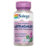 Solaray Astragaluswurzelextrakt 200 Mg 30 Einheiten, Lila, One Size