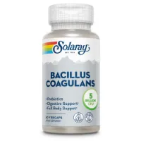Solaray Bacillus Coagulans Enzymes And Digestive Aids Kapseln 60 Einheiten Solaray Bacillus Coagulans Enzymes And Digestive Aids Kapseln 60 Einheiten