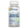 Solaray Bacillus Coagulans Enzymes And Digestive Aids Kapseln 60 Einheiten, One size