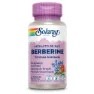 Solaray Berberin 60 Einheiten, Lila, One Size