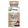 Solaray Chaga Fermented 1000mg Immunity Kapseln 60 Einheiten, One size