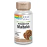Solaray Maitake 500mg Kapseln 60 Einheiten, One size
