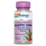 Solaray Mastic Gum 500mg Kapseln 45 Einheiten, Pink, One Size