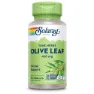 Solaray Olive Leaf 410mg Kapseln 100 Einheiten, Multicolour, One Size