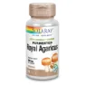 Solaray Royal Agaricus 500 Mg 60 Einheiten, Beige, One Size