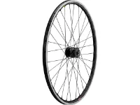 SON 28 + Open Pro UST + Sapim Race 28" Laufrad SON 28 + Open Pro UST + Sapim Race 28" Laufrad