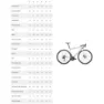 Specialized Aethos Comp 105 Di2 2025 Rennrad, Dune white / metallic spruce