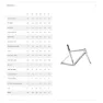 Specialized Allez Sprint Rahmenkit, Fog tint / aluminum / black pearl, 54
