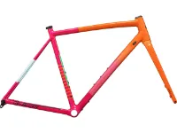 Specialized Crux DSW Rahmenkit Specialized Crux DSW Rahmenkit