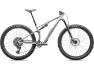 Specialized Epic 8 Expert Evo Carbon 29" Mountainbike, Grau, L
