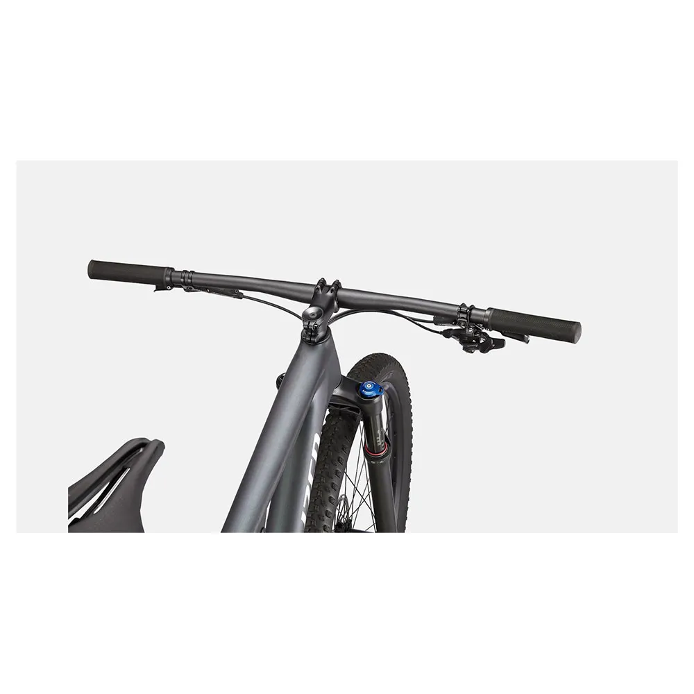 Specialized Epic Comp 29´´ 2022 Mountainbike, Carbon / oil / flake silver, M Specialized Epic Comp 29´´ 2022 Mountainbike, Carbon / oil / flake silver, M