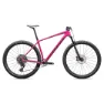 Specialized Epic Hardtail Comp 29´´ S-1000 2025 Mountainbike