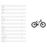 Specialized P.1 20´´ 2023 Bmx Rad, Satin rusted red overspray / blaze / morning mist, One Size