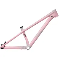 Specialized P.3 26´´ 2023 Bmx Rad