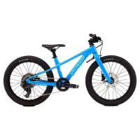 Specialized Riprock 20´´ Acolyte 2026 Mountainbike