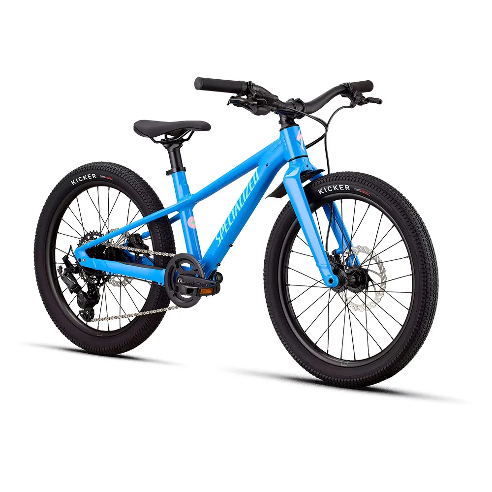 Specialized Riprock 20´´ Acolyte 2026 Mountainbike