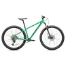 Electric green / dark moss green
