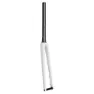 Specialized S-works Aethos 47 Mm Offset 2023 Straßengabel 54-56 Cm, Birch / abalone / dune white, 28" - 700C, Rigid