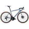 Cool grey / chameleon eyris tint / brushed chrome