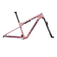 Specialized S-works Epic Wc 2023 Mtb-rahmen