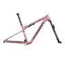 Specialized S-works Epic Wc 2023 Mtb-rahmen
