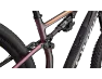 Specialized Sworks Epic 8 SRAM XX MTB Bike