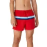 Speedo Colorblock Volley 14´´ Badeshorts