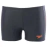 Speedo Colour Blend Placement Panel Aquashort Badehose Boxer male, Oxid grey / deep peri / siren