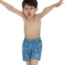Speedo Disney Frozen 11´´ Badeshorts