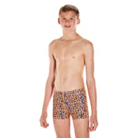 Speedo Electric Spritz Allover Badehose Boxer Speedo Electric Spritz Allover Badehose Boxer