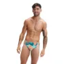Peacock / cupid coral / pale tan / fresh blue / saddle tau