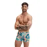 Peacock / cupid coral / pale tan / fresh blue / saddle tau