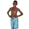 Speedo Forestfield Printed Leisure 17´´ Badeshorts male, Stellar / turquoise, 8-9Y