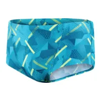 Speedo Geo Stripe V 17 Cm Club Training Allover Badehose Boxer Speedo Geo Stripe V 17 Cm Club Training Allover Badehose Boxer