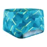 Speedo Geo Stripe V 17 Cm Club Training Allover Badehose Boxer, Nordic teal / adriatic / fluo yellow